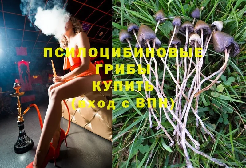 Галлюциногенные грибы Magic Shrooms  Козловка 